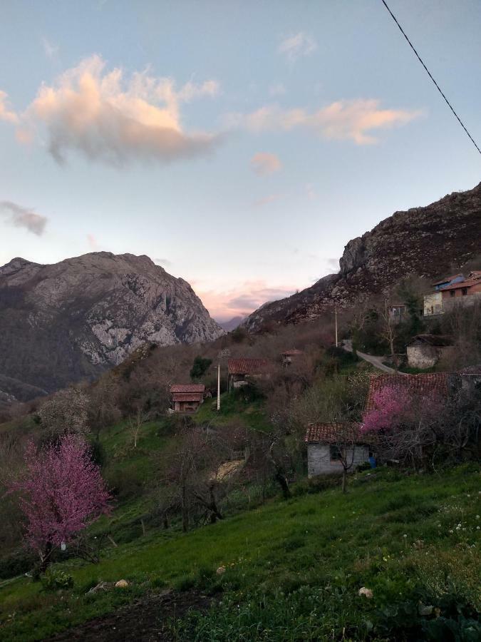 הוילה Vista  El Llagar מראה חיצוני תמונה